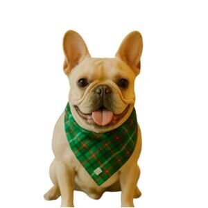 New Lands' End Emerald Gulf Field Check Flannel Pet Bandana Size Medium